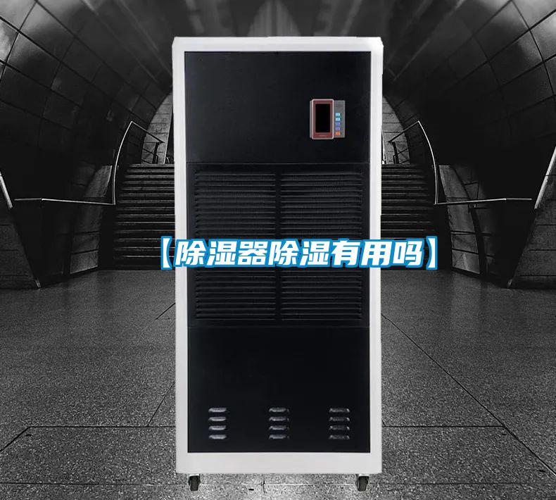 【除湿器除湿有用吗】