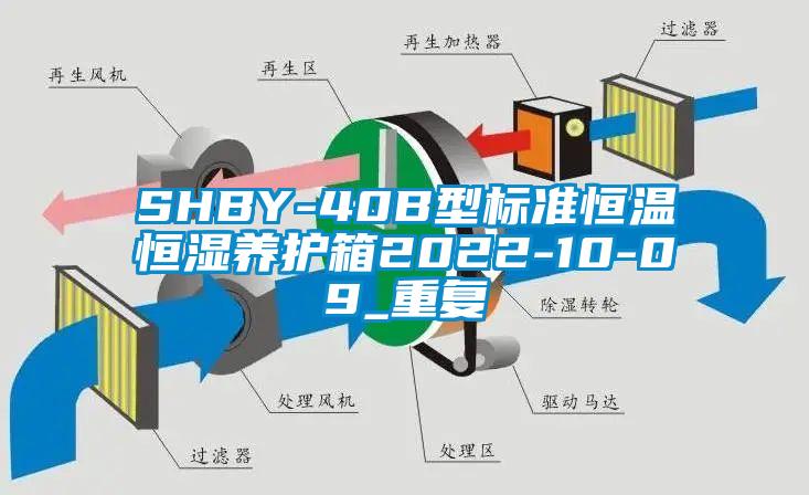 SHBY-40B型标准恒温恒湿养护箱2022-10-09_重复
