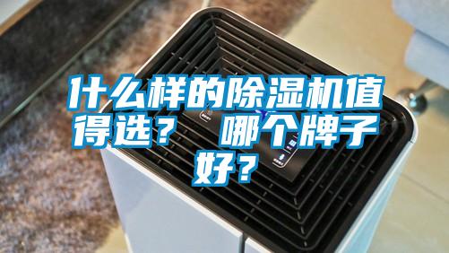 什么样的除湿机值得选？ 哪个牌子好？