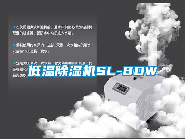 低温除湿机SL-8DW