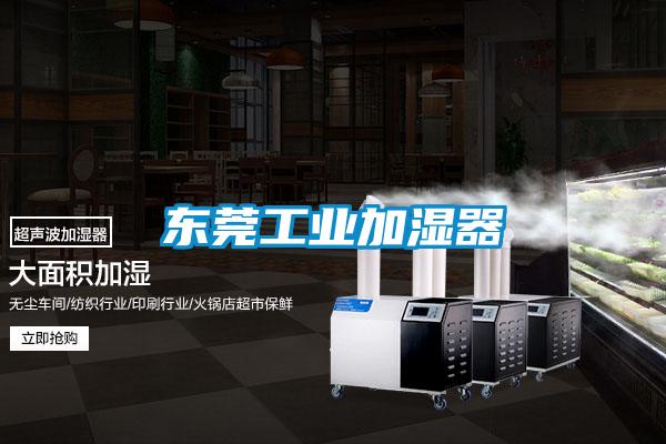 东莞工业加湿器