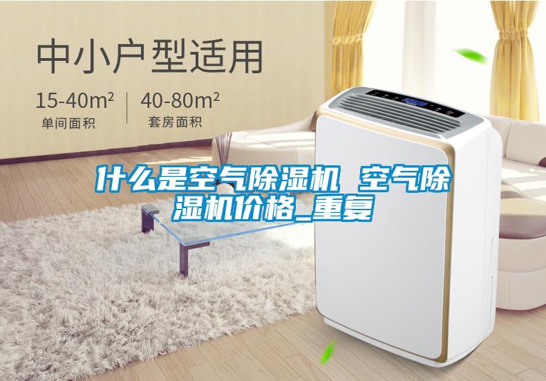 什么是空气除湿机 空气除湿机价格_重复