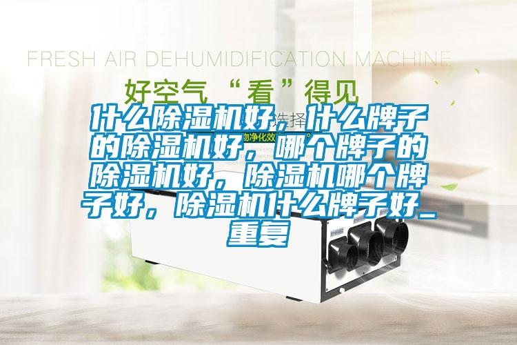 什么除湿机好，什么牌子的除湿机好，哪个牌子的除湿机好，除湿机哪个牌子好，除湿机什么牌子好_重复