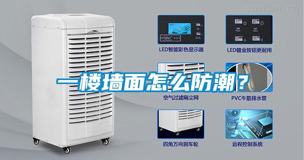 一楼墙面怎么防潮？
