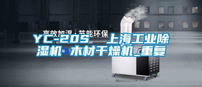 YC-20S  上海工业除湿机 木材干燥机_重复