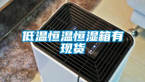 低温恒温恒湿箱有现货