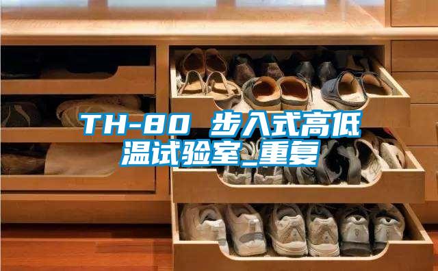 TH-80 步入式高低温试验室_重复