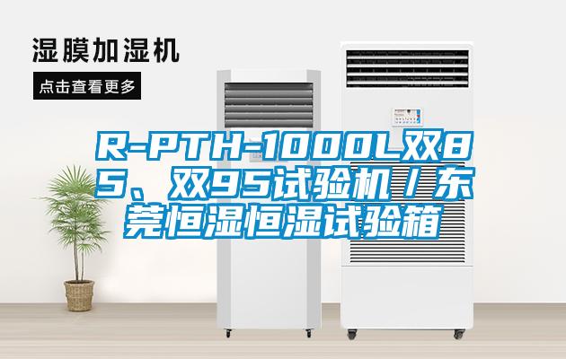 R-PTH-1000L双85、双95试验机／东莞恒湿恒湿试验箱