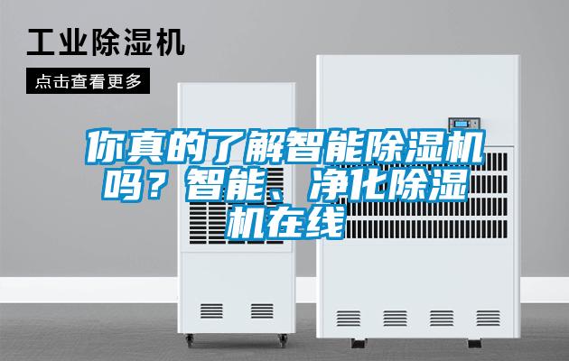 你真的了解智能除湿机吗？智能、净化除湿机在线