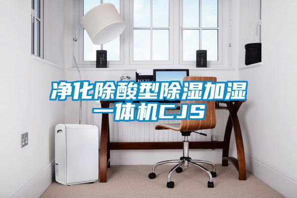 净化除酸型除湿加湿一体机CJS