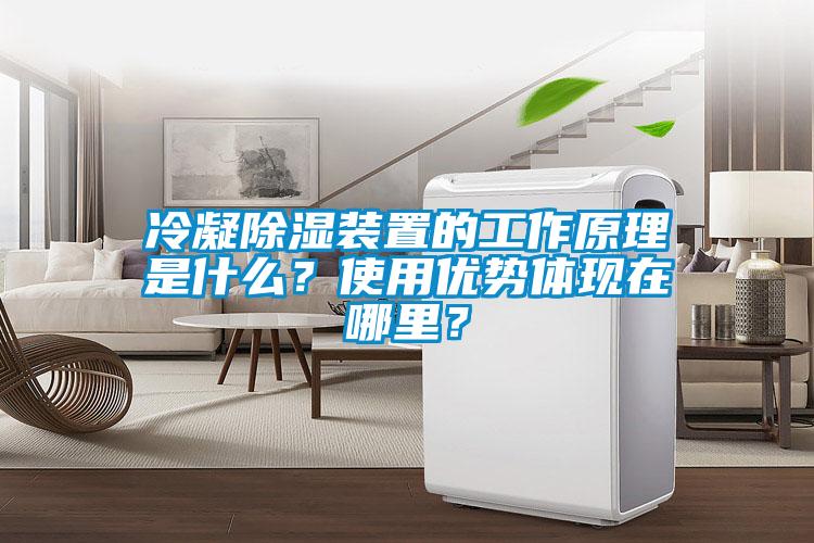 冷凝除湿装置的工作原理是什么？使用优势体现在哪里？