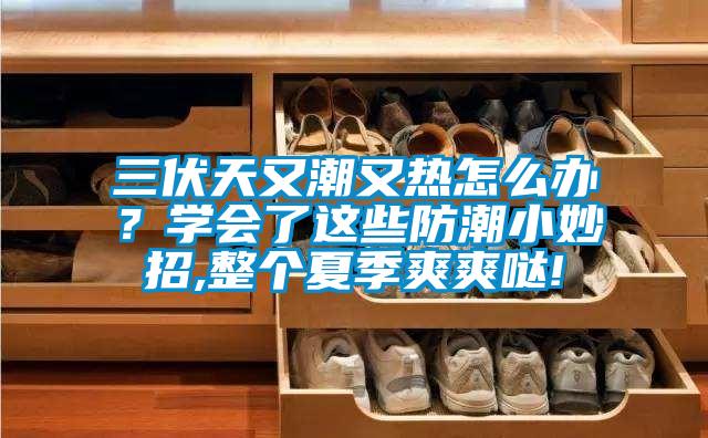 三伏天又潮又热怎么办?学会了这些防潮小妙招,整个夏季爽爽哒!