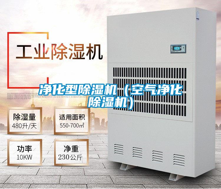 净化型除湿机(空气净化除湿机)