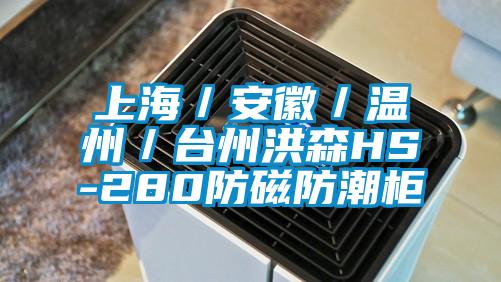 上海/安徽/温州/台州洪森HS-280防磁防潮柜