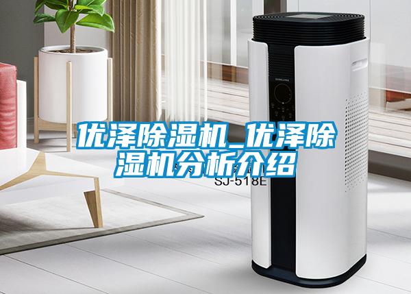 优泽除湿机_优泽除湿机分析介绍