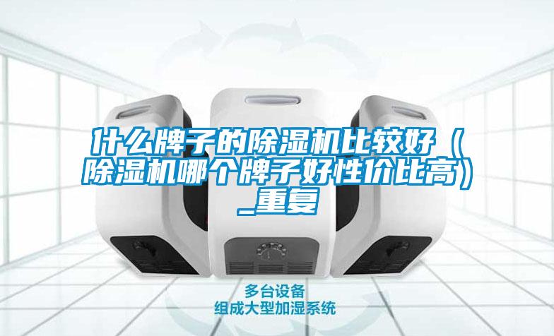 什么牌子的除湿机比较好（除湿机哪个牌子好性价比高）_重复