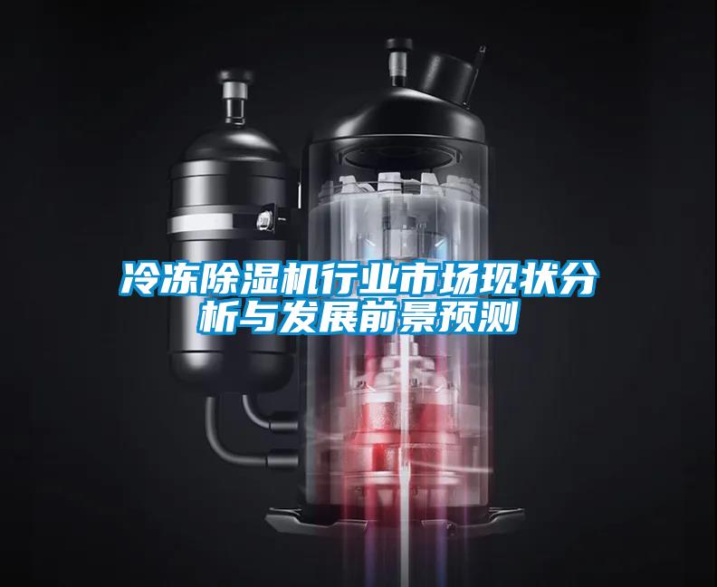 冷冻除湿机行业市场现状分析与发展前景预测