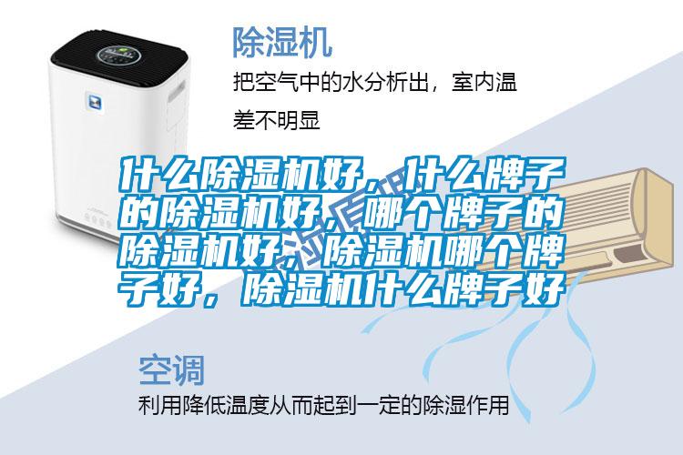 什么除湿机好，什么牌子的除湿机好，哪个牌子的除湿机好，除湿机哪个牌子好，除湿机什么牌子好