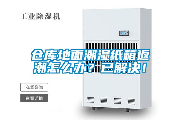仓库地面潮湿纸箱返潮怎么办？已解决！