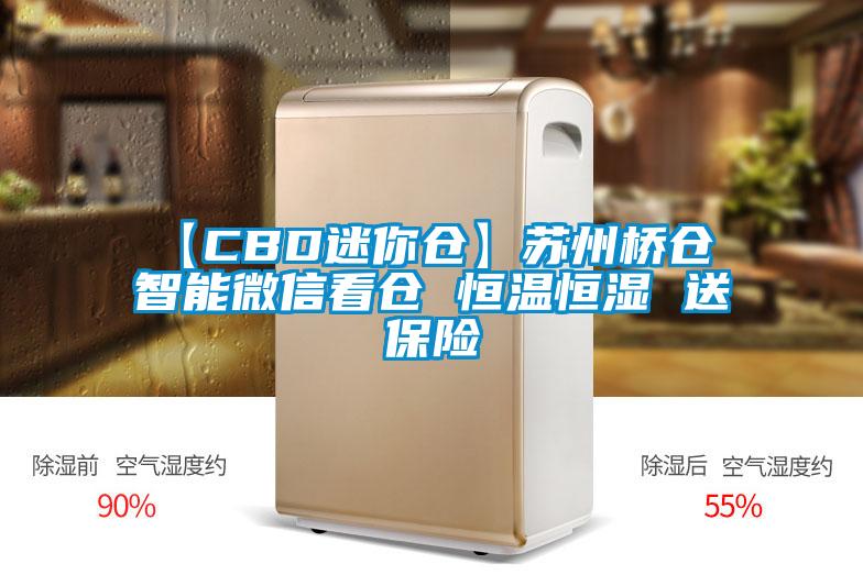 【CBD迷你仓】苏州桥仓 智能微信看仓 恒温恒湿 送保险