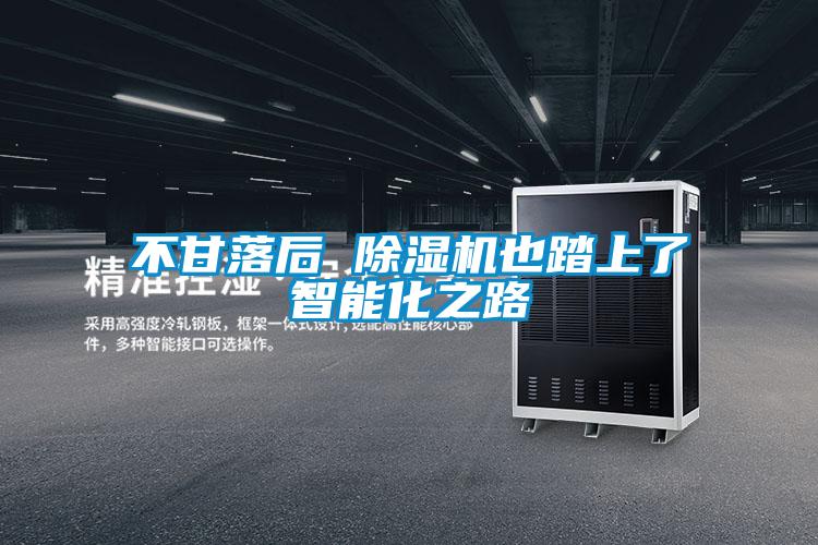 不甘落后 除湿机也踏上了智能化之路