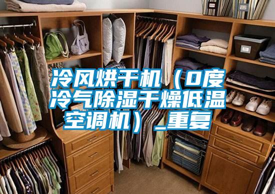 冷风烘干机(0度冷气除湿干燥低温空调机)_重复