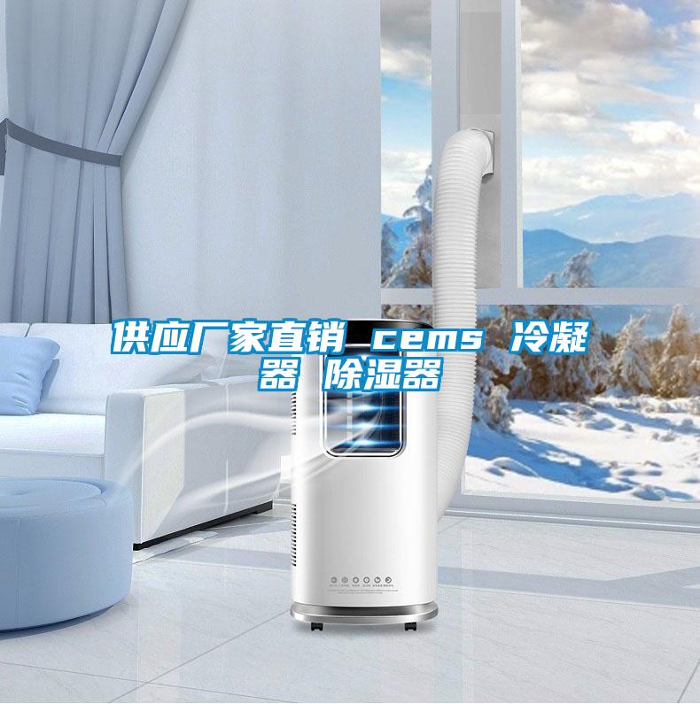 供应厂家直销 cems 冷凝器 除湿器