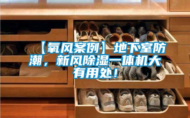 【氧风案例】地下室防潮,新风除湿一体机大有用处!