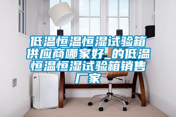 低温恒温恒湿试验箱供应商哪家好_的低温恒温恒湿试验箱销售厂家