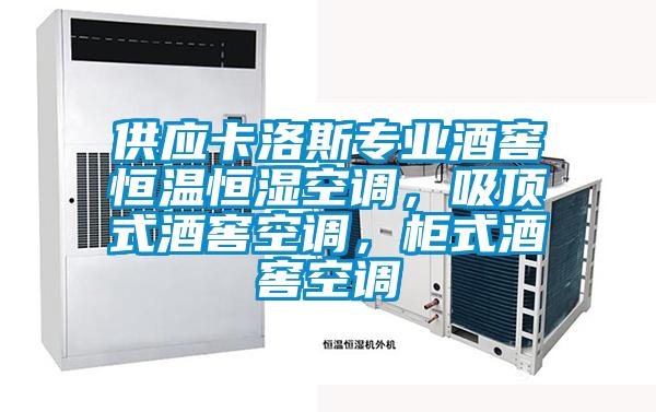 供应卡洛斯专业酒窖恒温恒湿空调，吸顶式酒窖空调，柜式酒窖空调