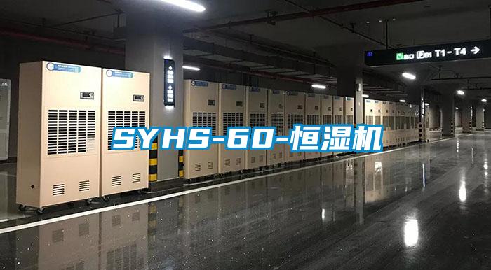 SYHS-60-恒湿机