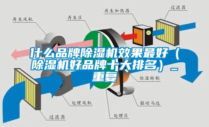 什么品牌除湿机效果最好（除湿机好品牌十大排名）_重复