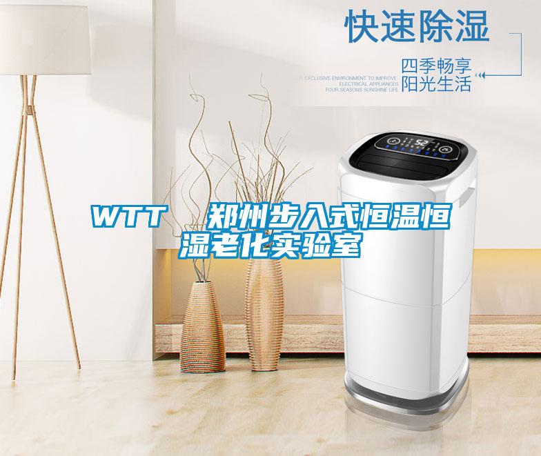 WTT  郑州步入式恒温恒湿老化实验室
