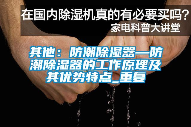 其他：防潮除湿器—防潮除湿器的工作原理及其优势特点_重复