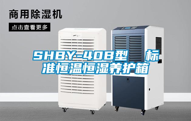 SHBY-40B型  标准恒温恒湿养护箱