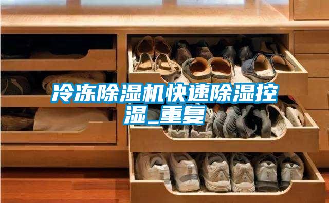 冷冻除湿机快速除湿控湿_重复