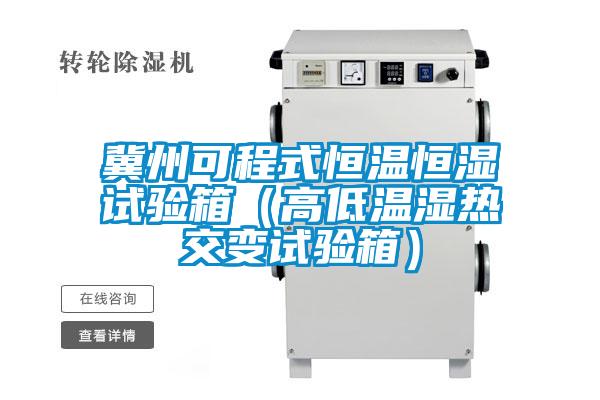 冀州可程式恒温恒湿试验箱（高低温湿热交变试验箱）