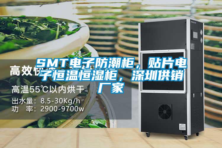 SMT电子防潮柜，贴片电子恒温恒湿柜，深圳供销厂家