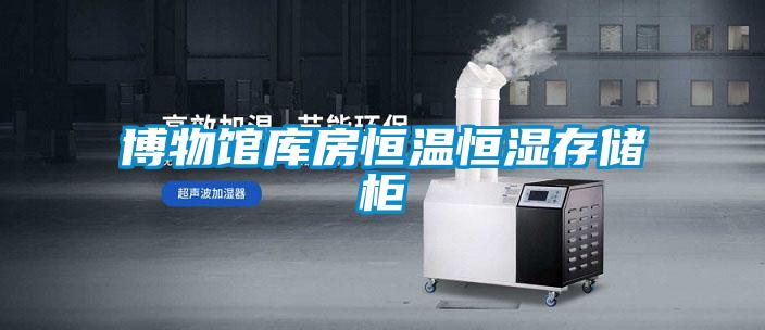 博物馆库房恒温恒湿存储柜