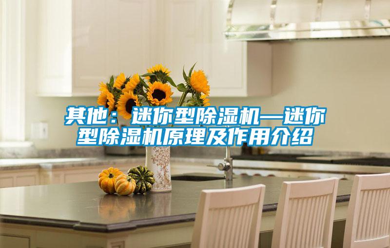 其他：迷你型除湿机—迷你型除湿机原理及作用介绍