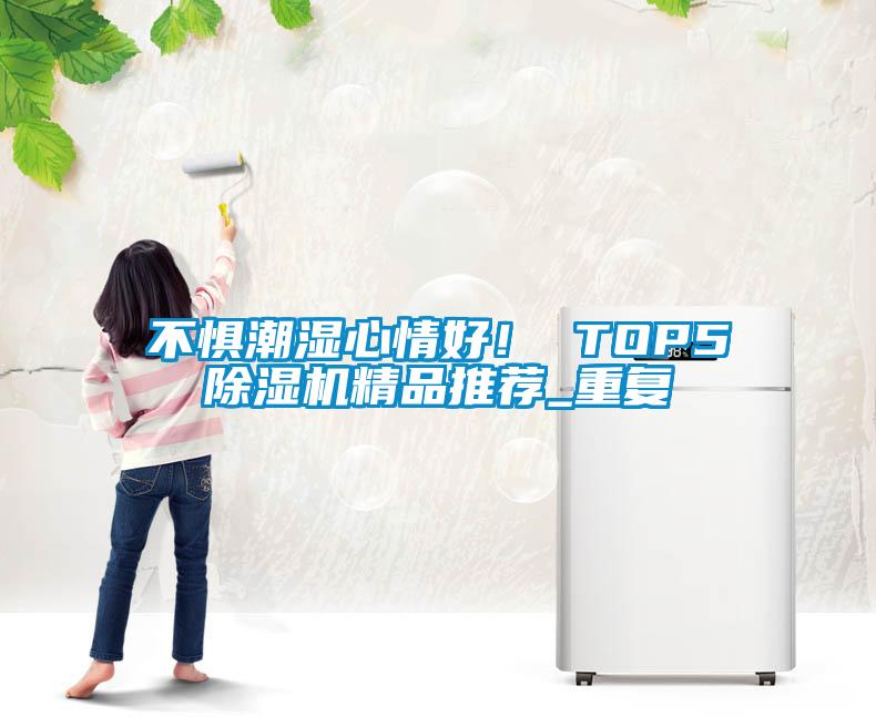 不惧潮湿心情好! TOP5除湿机精品推荐_重复