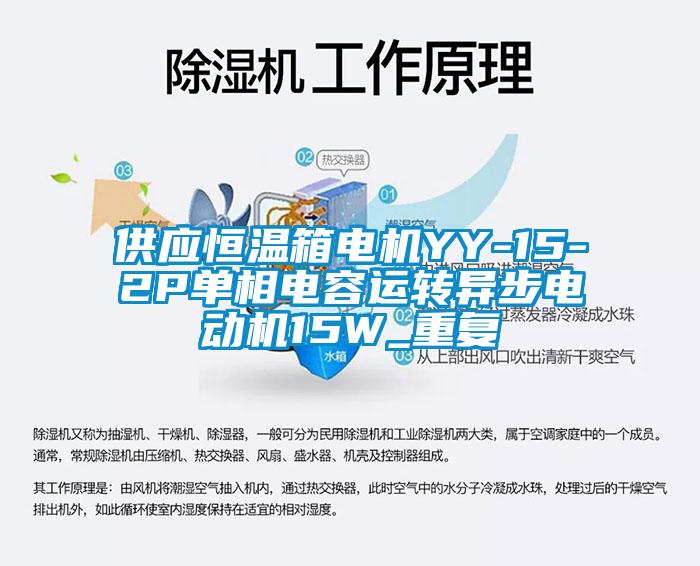 供应恒温箱电机YY-15-2P单相电容运转异步电动机15W_重复
