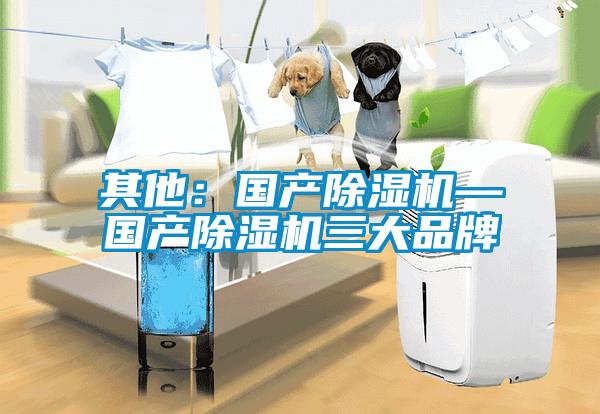 其他：国产除湿机—国产除湿机三大品牌