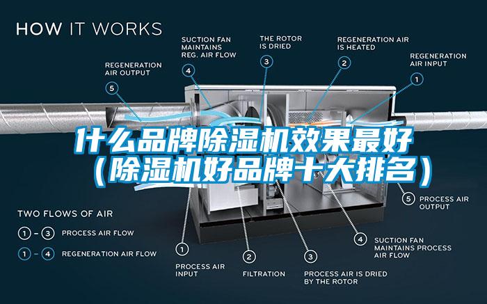 什么品牌除湿机效果最好（除湿机好品牌十大排名）