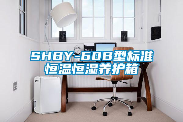 SHBY-60B型标准恒温恒湿养护箱