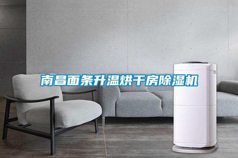 南昌面条升温烘干房除湿机