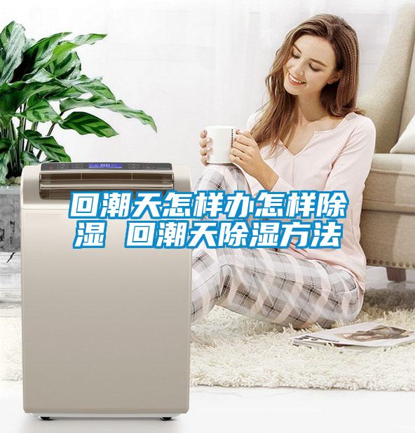 回潮天怎样办怎样除湿 回潮天除湿方法