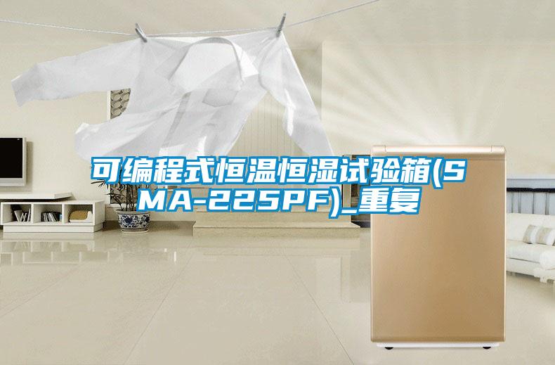 可编程式恒温恒湿试验箱(SMA-225PF)_重复