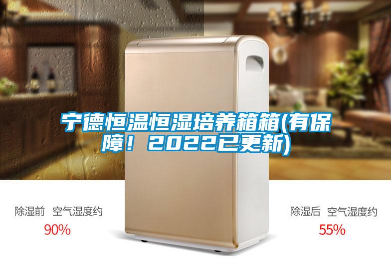 宁德恒温恒湿培养箱箱(有保障！2022已更新)