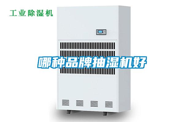 哪种品牌抽湿机好